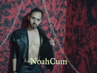 NoahCum