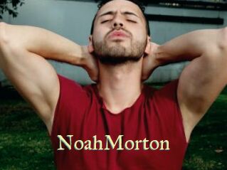NoahMorton