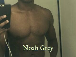 Noah_Grey