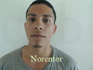 Noren_tor