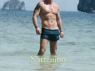 Nattenino