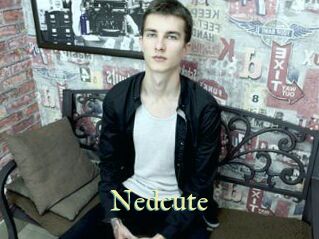 Nedcute
