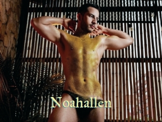 Noahallen