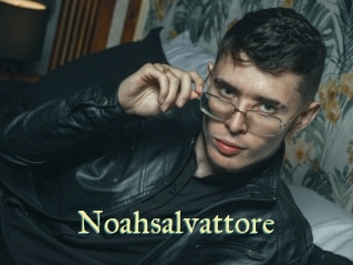 Noahsalvattore