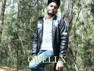 OWELLX Cube Lille