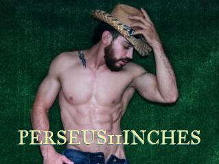 PERSEUS11INCHES