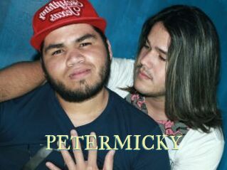 PETERMICKY Cube Lille