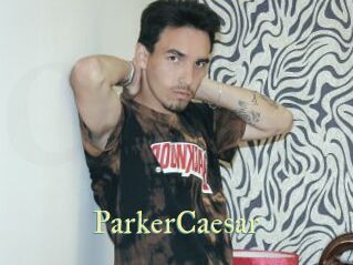 ParkerCaesar Cube Lille
