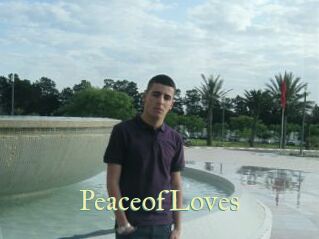 PeaceofLoves