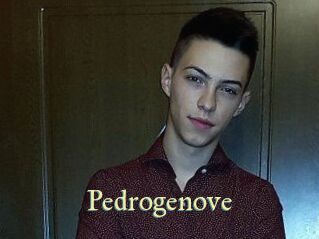 Pedrogenove