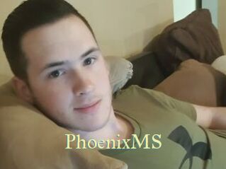 PhoenixMS Cube Lille