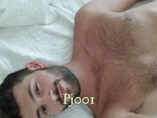 Pj001