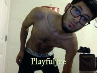 PlayfulJoe