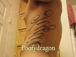 Poofydragon