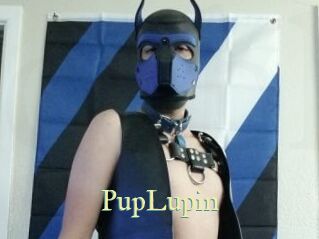 PupLupin Cube Lille