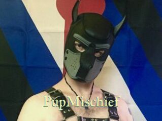 PupMischief