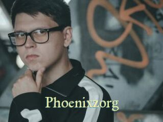Phoenixzorg