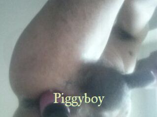 Piggyboy