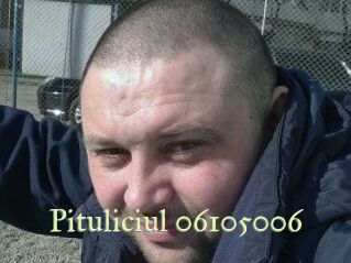 Pituliciul-06105006