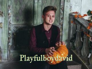 Playfulboydavid