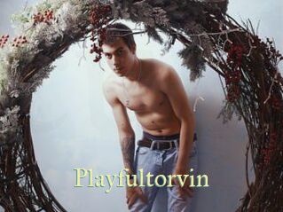 Playfultorvin