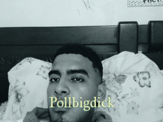Pollbigdick