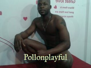 Pollonplayful