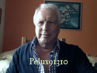 Polux91310