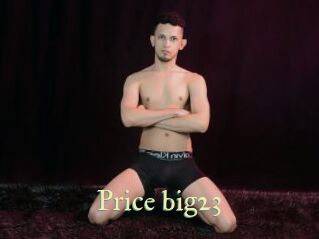 Price_big23