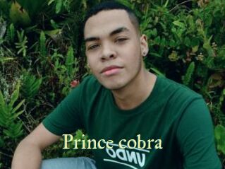 Prince_cobra