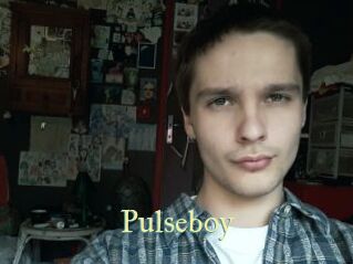 Pulseboy