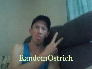 RandomOstrich