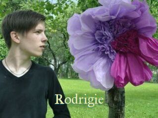 Rodrigie