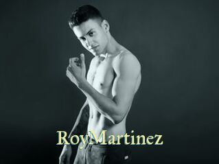 RoyMartinez Cube Lille