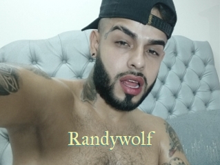 randywolf Cube Lille