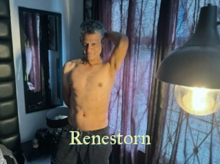 renestorn Cube Lille