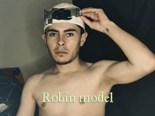 robin_model Cube Lille