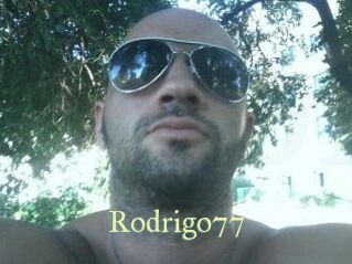 rodrigo77 Cube Lille