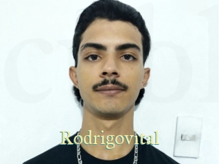 rodrigovital Cube Lille