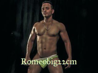 Romeobig22cm