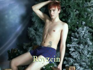 Royzein