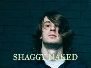 SHAGGY_NAKED