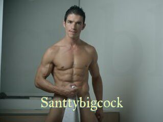 Santtybigcock