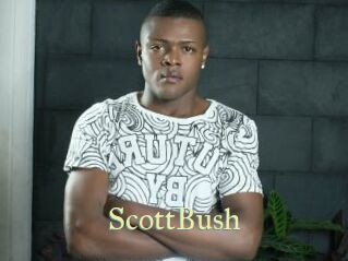 ScottBush