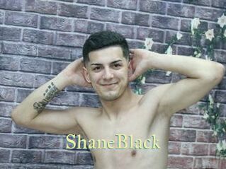 ShaneBlack