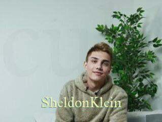 SheldonKlein