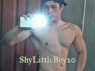 ShyLittleBoy20