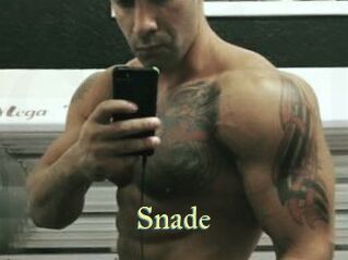 Snade
