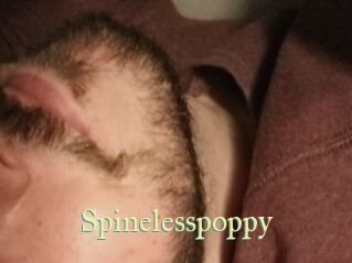 Spinelesspoppy