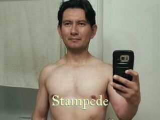 Stampede